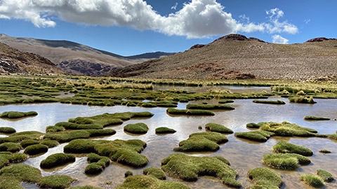 Électromobilité BMW : durabilité, protection de l’environnement et protection du climat BMW